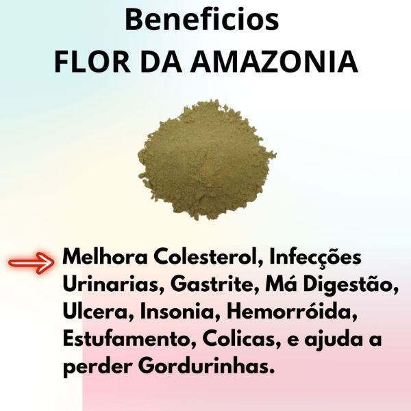 FLOR DO AMAZONAS EM P�